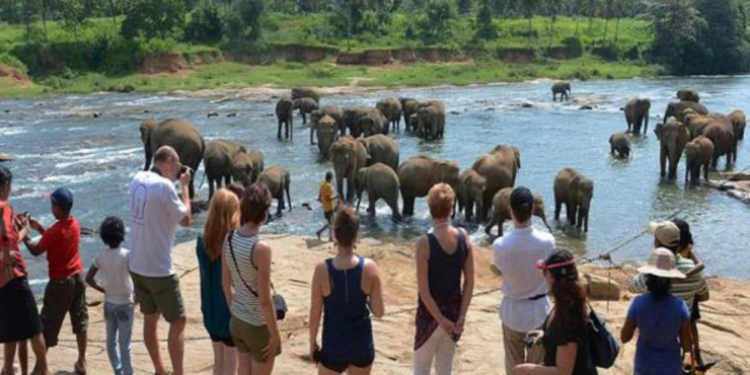 நாட்டில்  சுற்றுலா விசா கட்டணம் அதிகரிப்பால் ஏற்பட்ட நிலை!