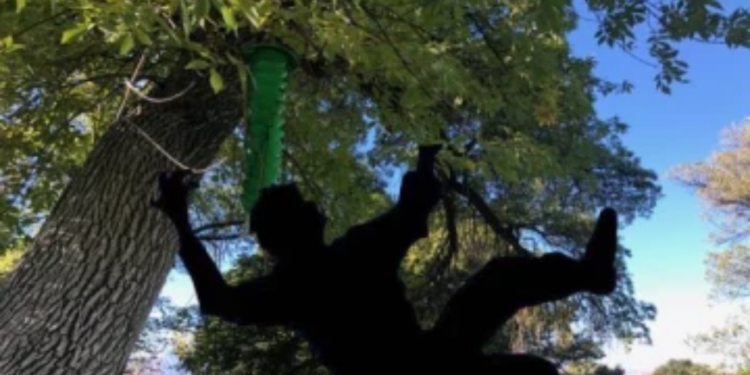 யாழில் 5 பிள்ளைகளின் தந்தைக்கு நேர்ந்த துயரம்!