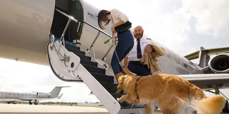 அமெரிக்காவில் நாய்களுக்கான சொகுசு விமான சேவை!