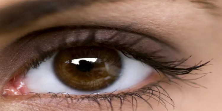 பாகிஸ்தானுக்கு கருவிழி படலங்களை வழங்கிய இலங்கை!