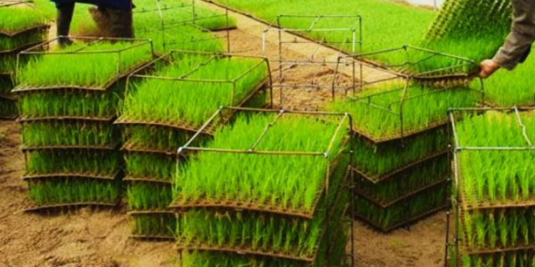 அரசினால் விவசாயிகளுக்கு வழங்கப்பட்டுள்ள சலுகை!