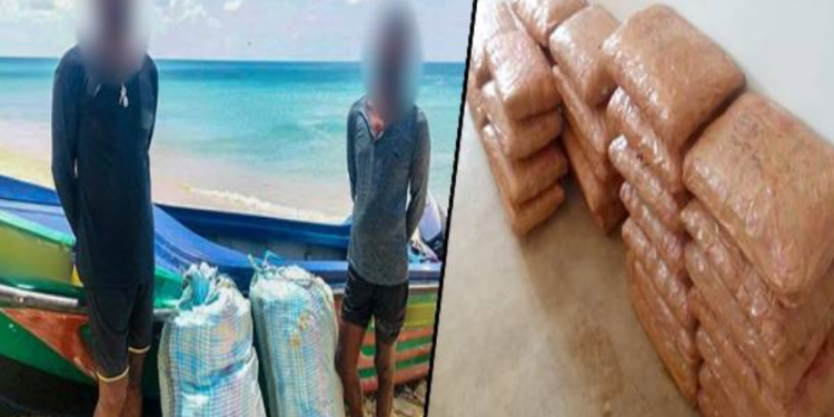 யாழில் கேரள கஞ்சாவுடன் இருவர் கைது!