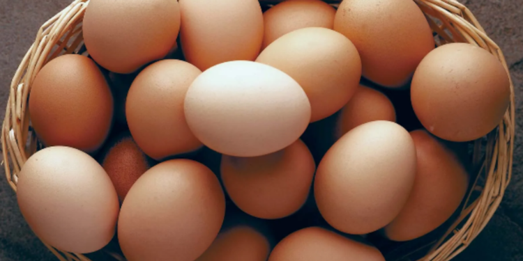 நாட்டில் முட்டை நுகர்வு அதிகரிப்பு!