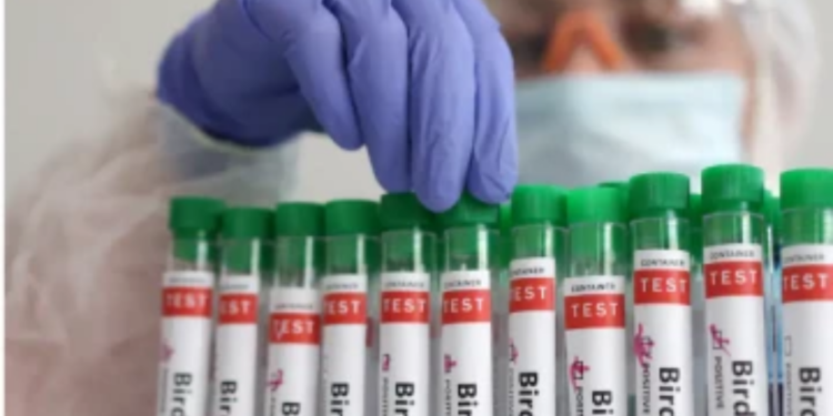 இந்தியாவில் பறவைக் காய்ச்சால் பாதிக்கப்பட்ட நான்கு வயது குழந்தை!