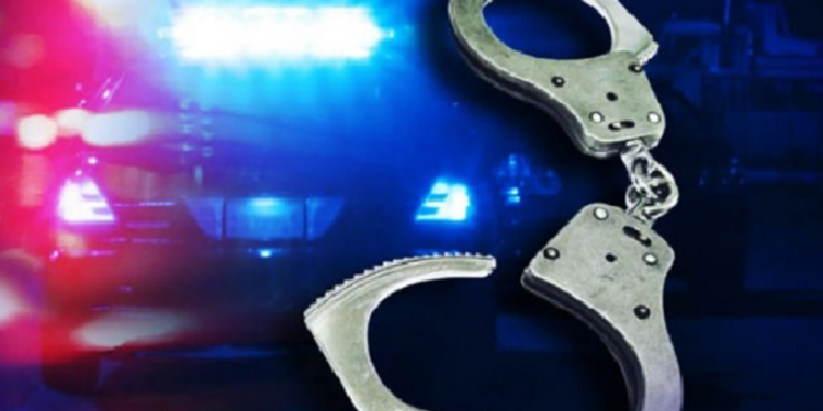 மோசடியில் ஈடுபட்ட பெண்ணை வலைவீசி பிடித்த பொலிசார்!