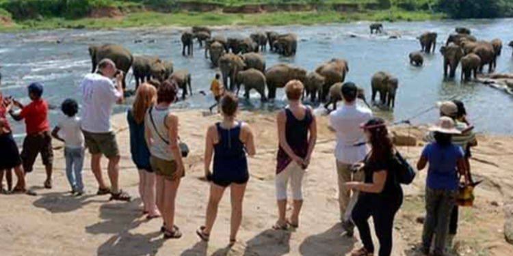 நாட்டிற்கு வரும் சுற்றுலா பயணிகளால் அந்நிய செலாவணி அதிகரிப்பு!