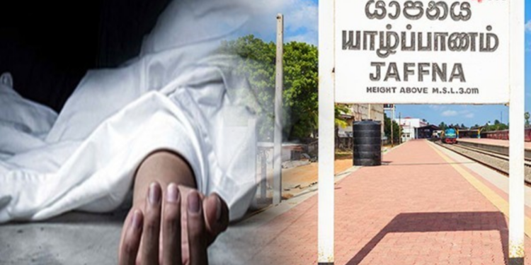 யாழில் பாம்பு தீண்டியவர் மரணம்!