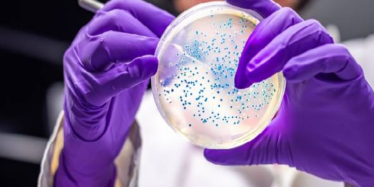 நாட்டிலுள்ள பெண்கள் தொடர்பில் எச்சரிக்கை!