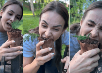 பூந்தொட்டியை சாப்பிடும் வினோத பெண் !