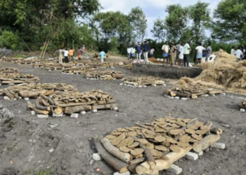 தமிழகத்தில் 21 பேரின் உடல்கள் ஒரே இடத்தில் தகனம் சோகத்தை ஏற்ப்படுத்திய சம்பவம்!