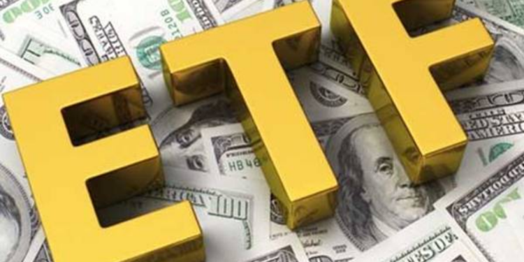 நாட்டில் டிஜிட்டல் மயமாகும் ஊழியர் சேமலாப நிதியத் தரவுகள்