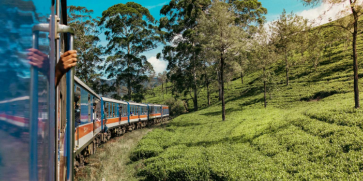 புகையிரதம் மோதியதில் ஒருவர் பலி!