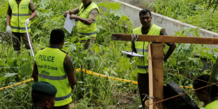 ட்ரோன் மூலம் பாரிய கஞ்சா பயிர்ச்செய்கை கண்டுபிடிப்பு!