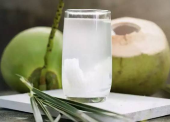 தேங்காய் உள்ளே இருக்கும் தண்ணீர் எங்கிருந்து வருகிறது தெரியுமா?