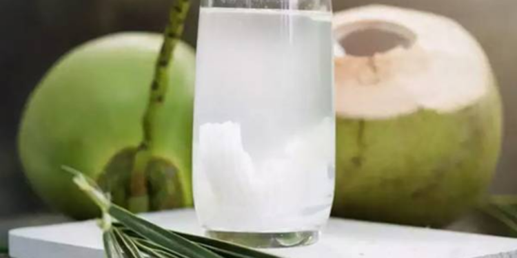 தேங்காய் உள்ளே இருக்கும் தண்ணீர் எங்கிருந்து வருகிறது தெரியுமா?