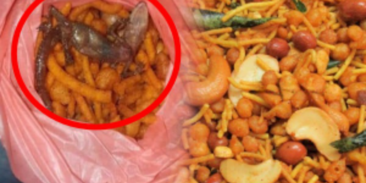 செல்வச்சந்நிதி ஆலய சுற்றாடலில் பொரிந்த பல்லியுடன் மிக்சர் விநியோகம்!