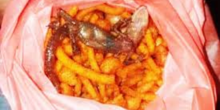 யாழில்  பல்லி மிக்கஸருக்கு தண்டப்பணம்!