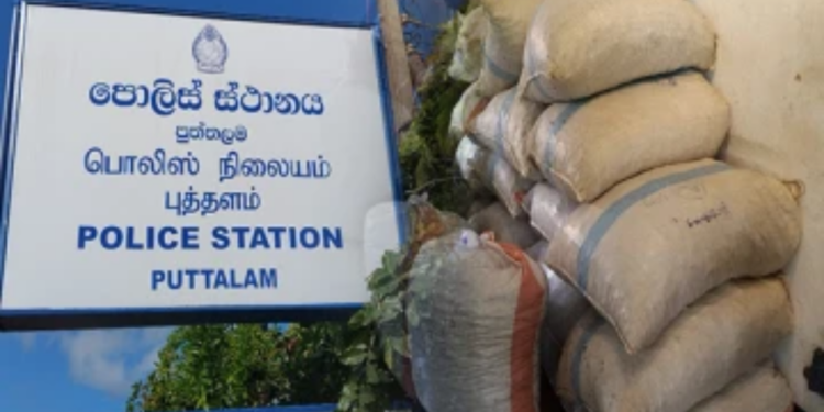 இந்தியாவில் இருந்து இலங்கைக்கு கொண்டுவரப்பட்ட மஞ்சள் மற்றும் போதைப் பொருள் மீட்பு!