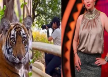 Wild Life Photographer ஆக மாறிய பிரபல நடிகை