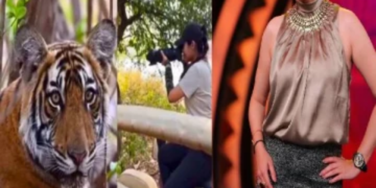 Wild Life Photographer ஆக மாறிய பிரபல நடிகை