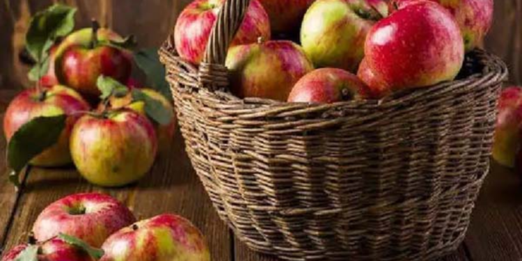 ஆப்பிள் பிரியர்களுக்கான முக்கிய செய்தி!