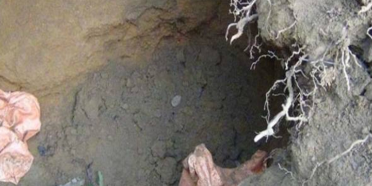 மாணிக்கக் கல் அகழ்வில் ஈடுபட்ட மூவர் கைது!