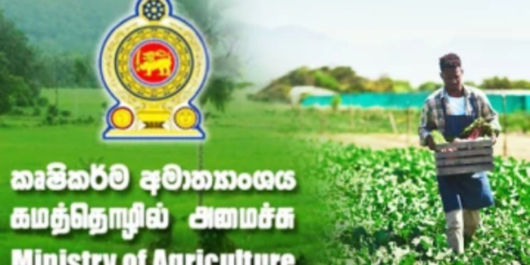 விவசாயிகளுக்கு வழங்கப்படவுள்ள நிவாரணம்!