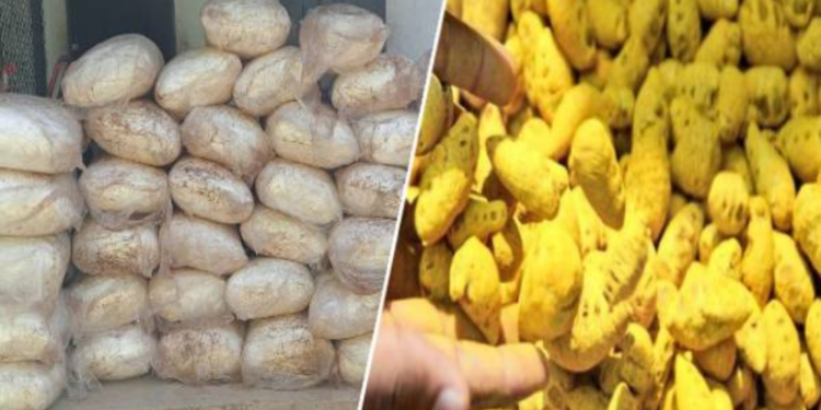 சட்டவிரோதமாக மஞ்சள் கடத்தலில் ஈடுபட்ட இருவர் கைது!