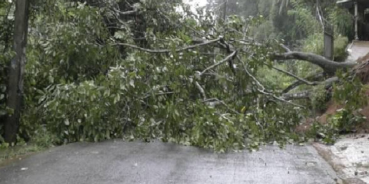 கொழும்பின் பிரதான வீதியின் ஊடாக பயணிப்போருக்கான முக்கிய செய்தி!