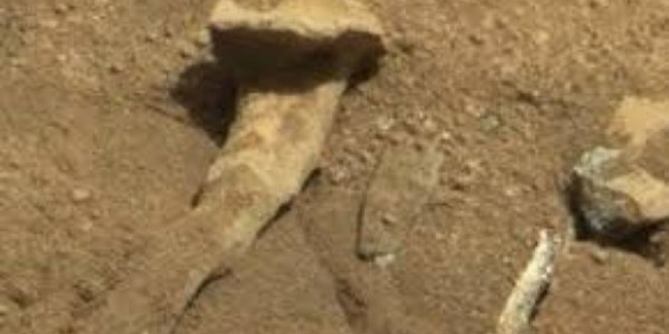 கொழும்பின் முக்கிய பகுதியில் மனித எலும்புக் கூடுகள்