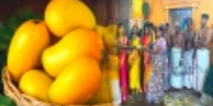 6 இலட்சம் ரூபாய்க்கு ஏலம்போயுள்ள மாம்பழம்