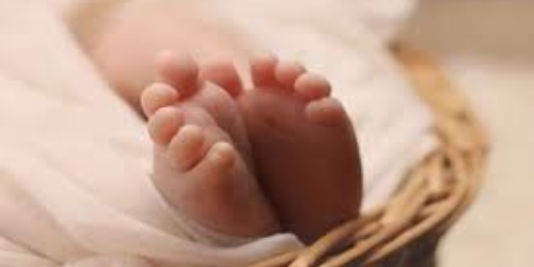 யாழ் நெடுந்தீவு கடலில் பிறந்த குழந்தை!