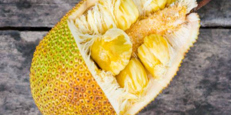 யாரெல்லம் பலாப்பழம் சாப்பிடக் கூடாது தெரியுமா?