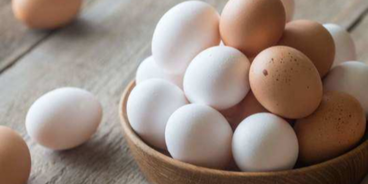 முட்டை விலை தொடர்பில் வெளியாகிய முக்கிய செய்தி!