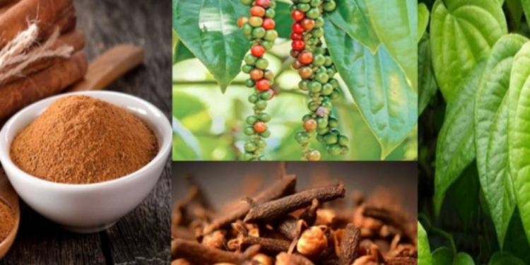 இலங்கை பொருளாதாரத்தில் ஏற்பட்டுள்ள திடீர் மாற்றம்!