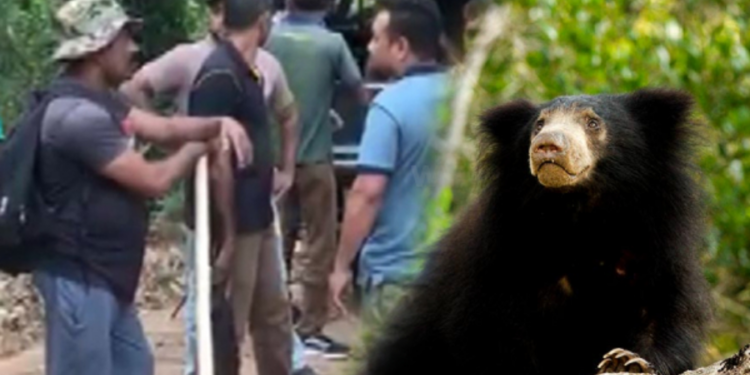 கரடி தாக்குதலில் ஐவர் காயம்!