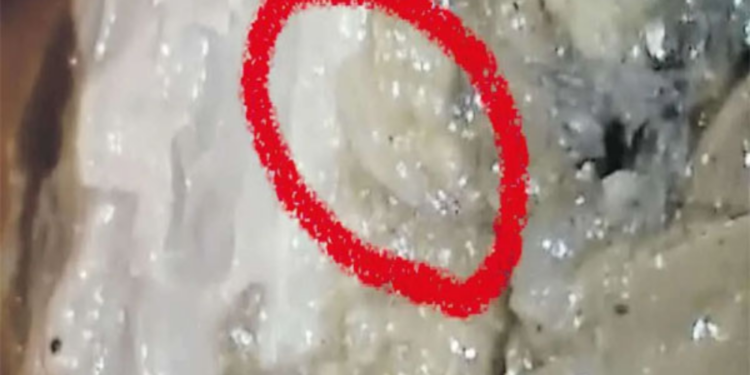 பாடசாலை ஒன்றில் வழங்கப்பட்ட உணவுப் பொதியில் புழு!