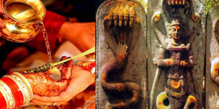 நாக பஞ்சமி தோஷங்கள் நீங்கும் வழிபாட்டு முறை