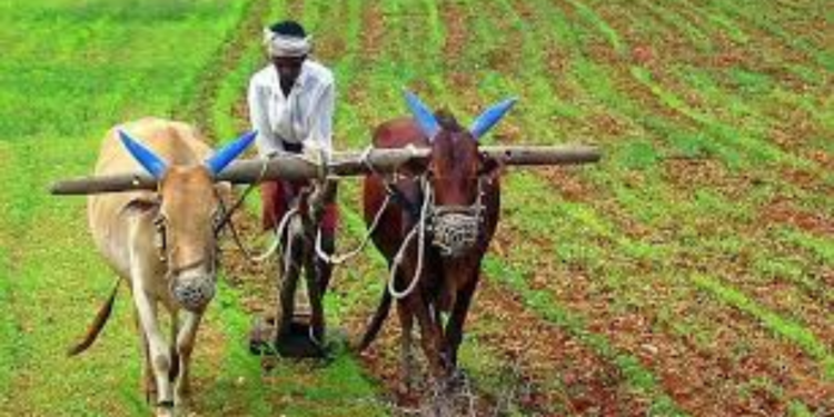 விவசாயிகளுக்கு 1 இலட்சம் ரூபா விசேட இழப்பீடு