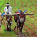 விவசாயிகளுக்கு 1 இலட்சம் ரூபா விசேட இழப்பீடு