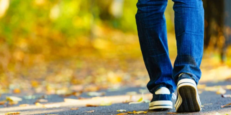 சுற்றுலா பயணியை தீண்டிய பாம்பு!