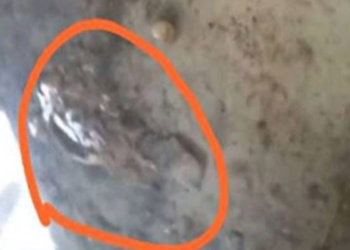 முல்லைத்தீவு பாடசாலை ஒன்றின் அவல நிலை.