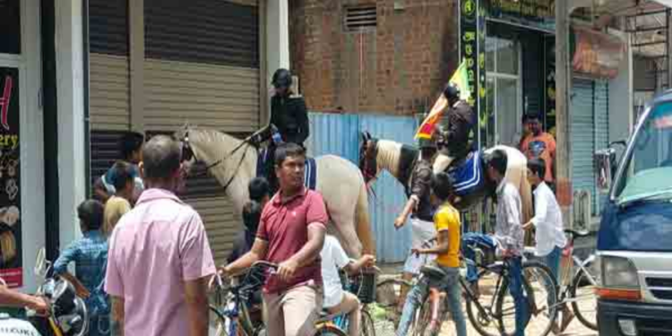 ரணிலின் தேர்தல் பிரச்சாரத்திற்கு களமிறக்கப்பட்ட குதிரைகள்!