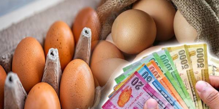 முட்டை இறக்குமதி தொடர்பில் வெளியாகிய செய்தி!