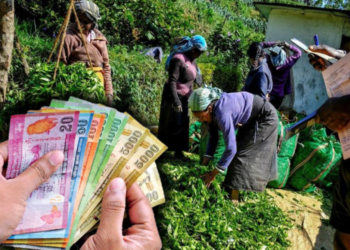 பெரும்தோட்ட தொழிலார்களுக்கு 1700 ரூபாய் சம்பளம் கட்டாயம் கிடைக்கும்