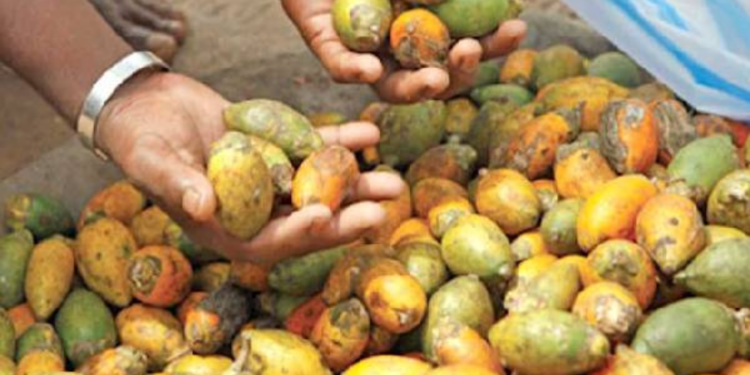 பாக்கு விலை அதிகரிப்பு!