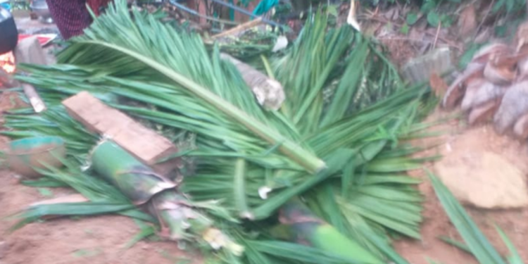 பாக்கு மரம் ஏறியதால் பறிபோன உயிர்