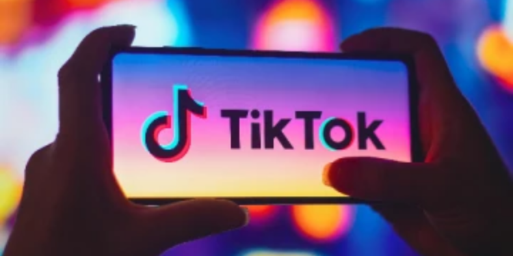 இலங்கையில் தவறான செயல்களை தடுக்க தயாராகும் டிக்டொக்