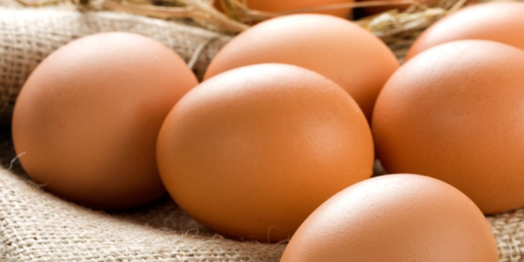 முட்டை விலை குறைப்பு!