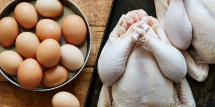 கோழி இறைச்சி விலை குறைப்பு!